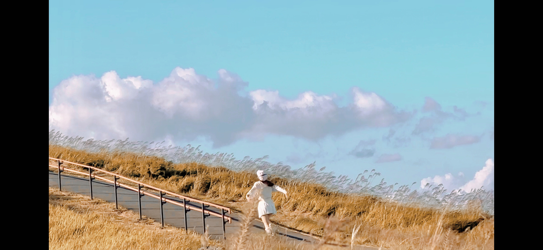 Thumb 384f54fc 751e 4084 b4c0 2a7d0743aefa