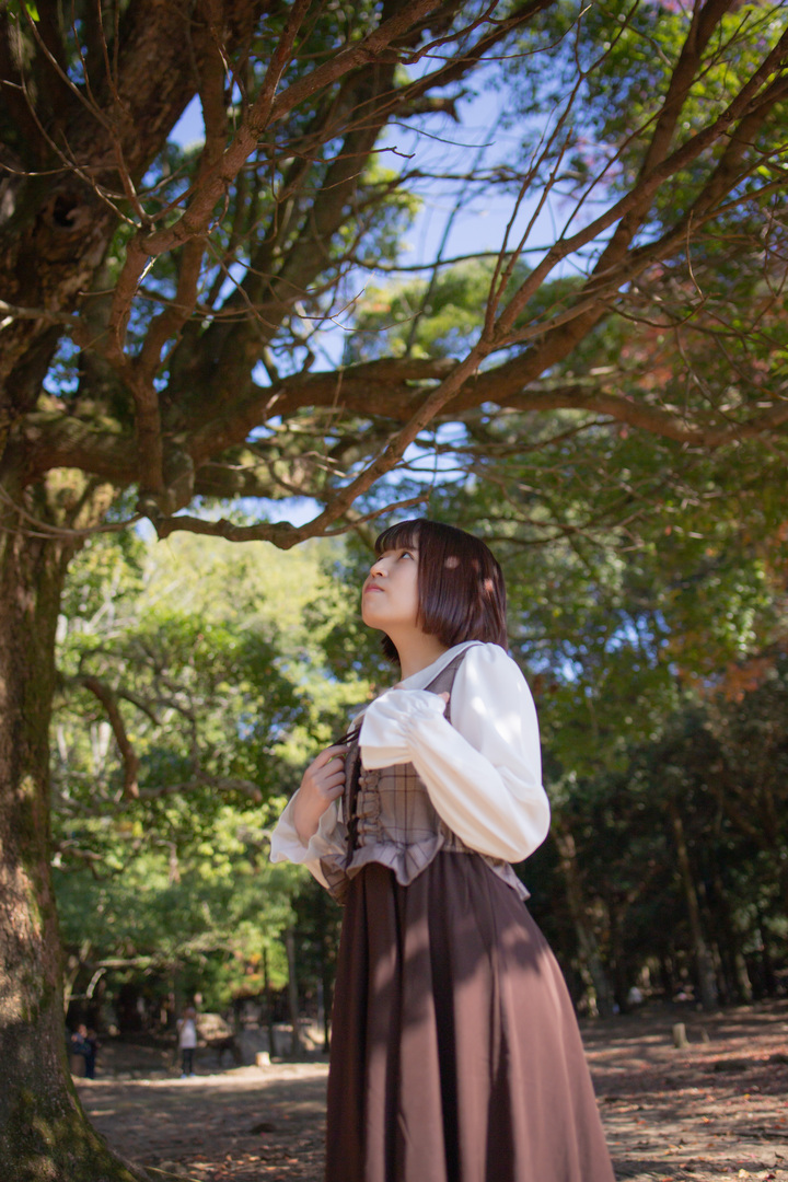 Thumb eecee99d 7314 443d aca4 bada0689660b