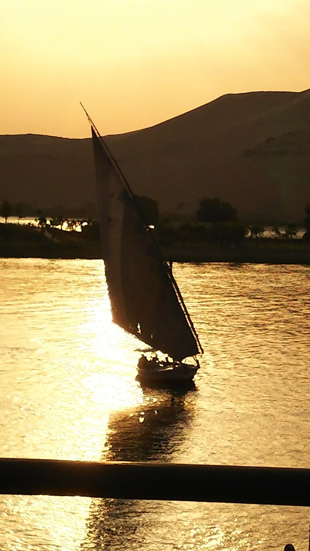 Thumb f7ef5f92 d111 489f 9ba0 6b47f8ca7264