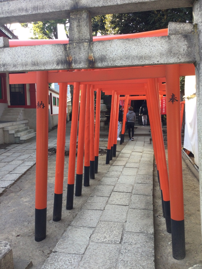 Thumb 9240e928 2386 42fc 80bd 908d8663f476