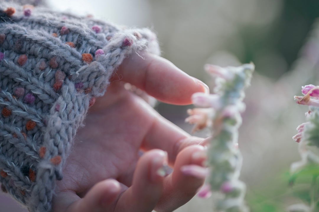 Thumb 4da78f0d dba9 4d51 a20b 2babbbcc7ec7