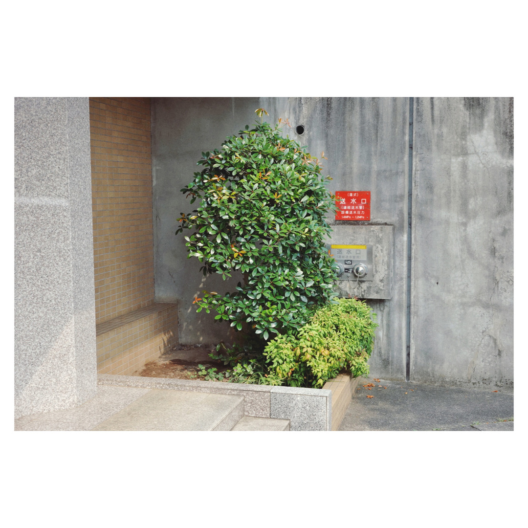 Thumb b8ed9b9e b4ad 45ae 8dd2 56d048d41081