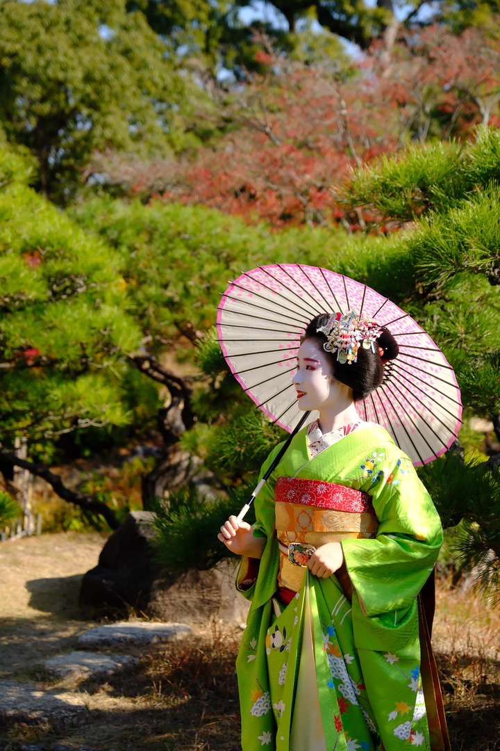 Thumb 9798102b 49b7 4bcf b1e5 ed6441e0bf9a