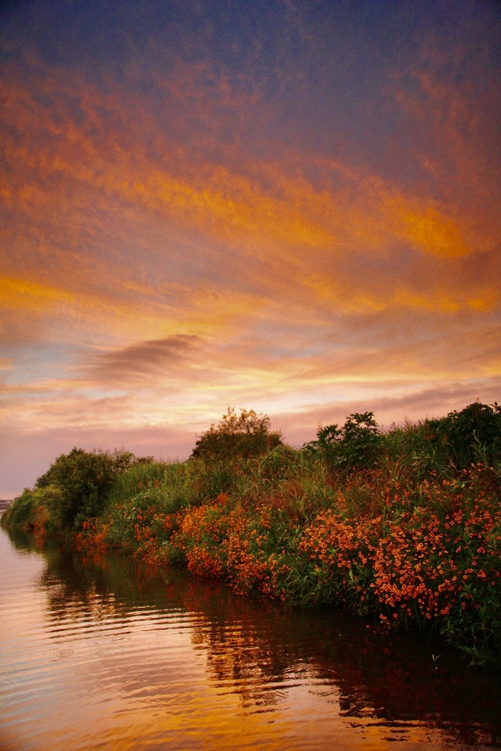 Thumb 57eeda7e 49f6 4081 985a 28250d5a4ac1