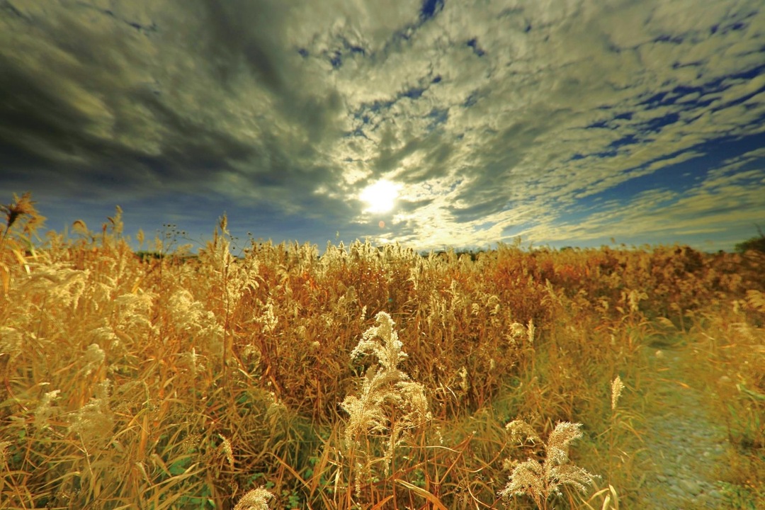 Thumb ddc8f7a9 28fc 43f1 86f8 1587d0dccc20