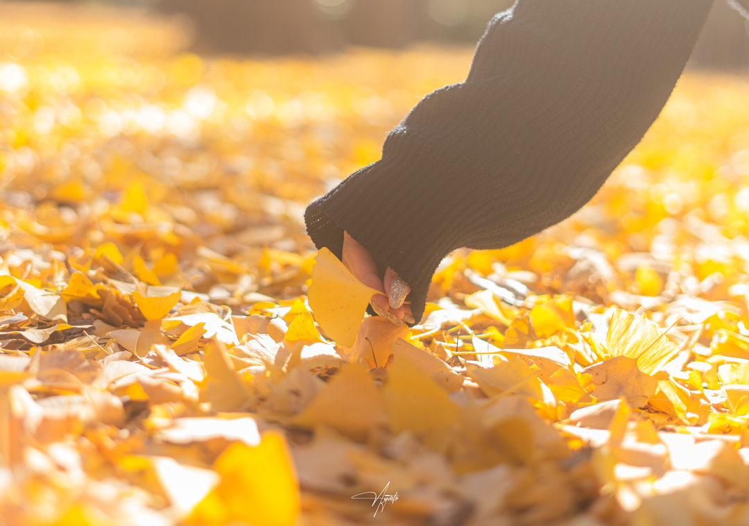 Thumb 470e5f1e 784a 4f3e a426 d60bb118f83a