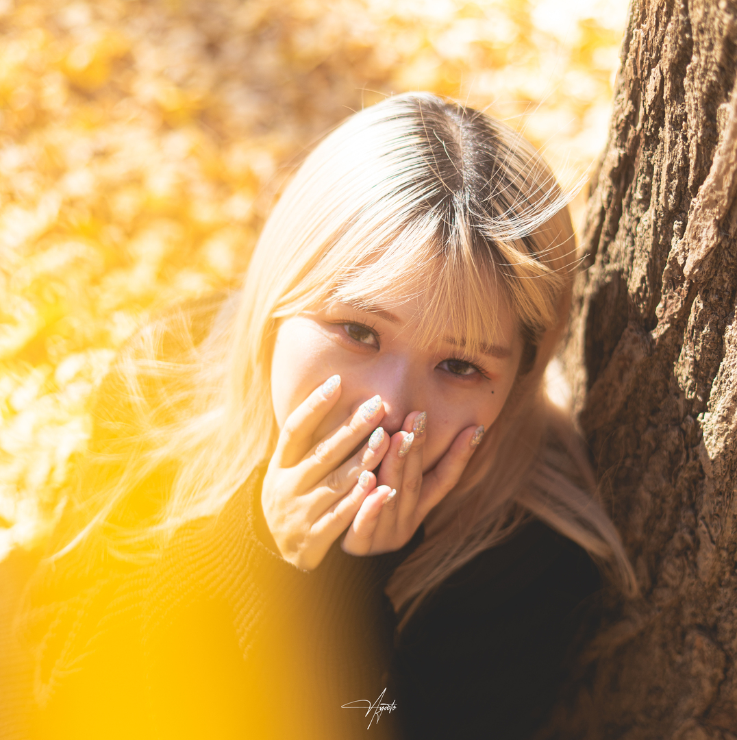 Thumb ff2e0b50 a2d2 42f7 b283 d8da23f0592e