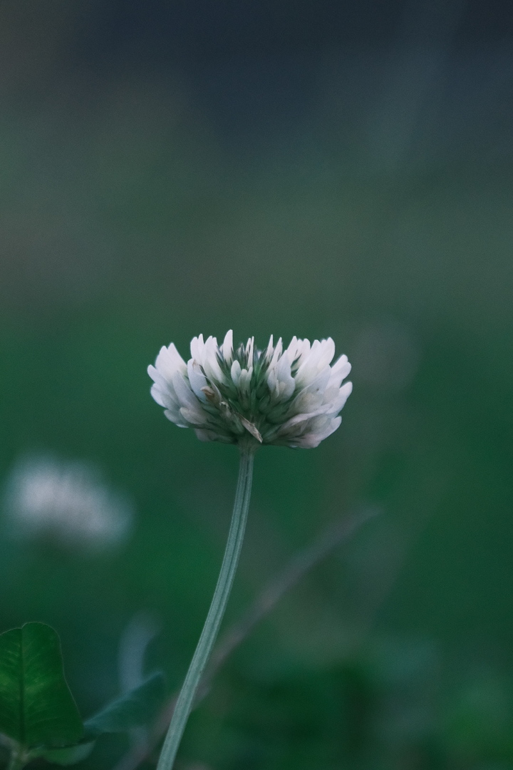 Thumb bfd42c00 69cc 4657 bcea 64c355b6ae99