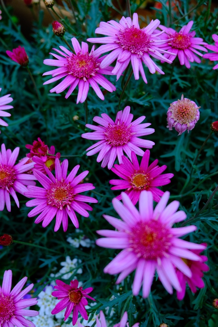 Thumb f86c3f74 77c4 4a21 a07b 17a02e4c5bae