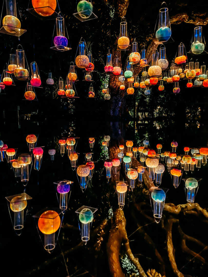 Thumb 781d80a6 2ecb 4453 ad79 10a369272a6b