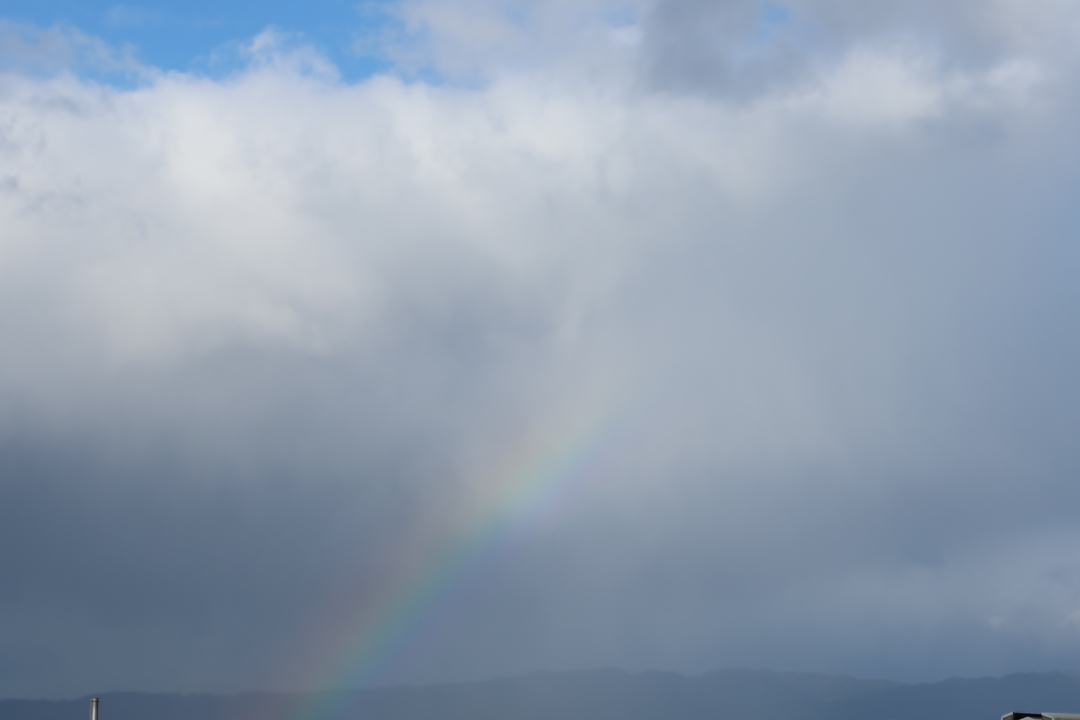 Thumb 9caf6eab 2bcb 47cb 80c0 dac2f26aecde