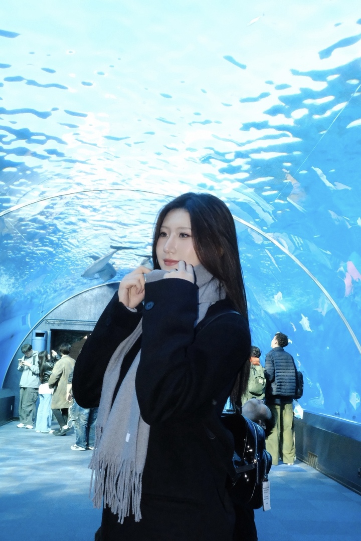 Thumb 47038a95 d13f 4b50 bce6 eeae6fe545a4