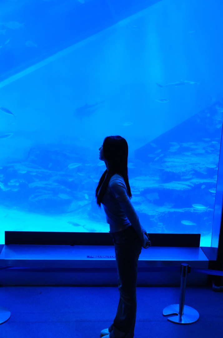 Thumb b288dadc b39c 4313 bf69 ebe0eefa2c7d