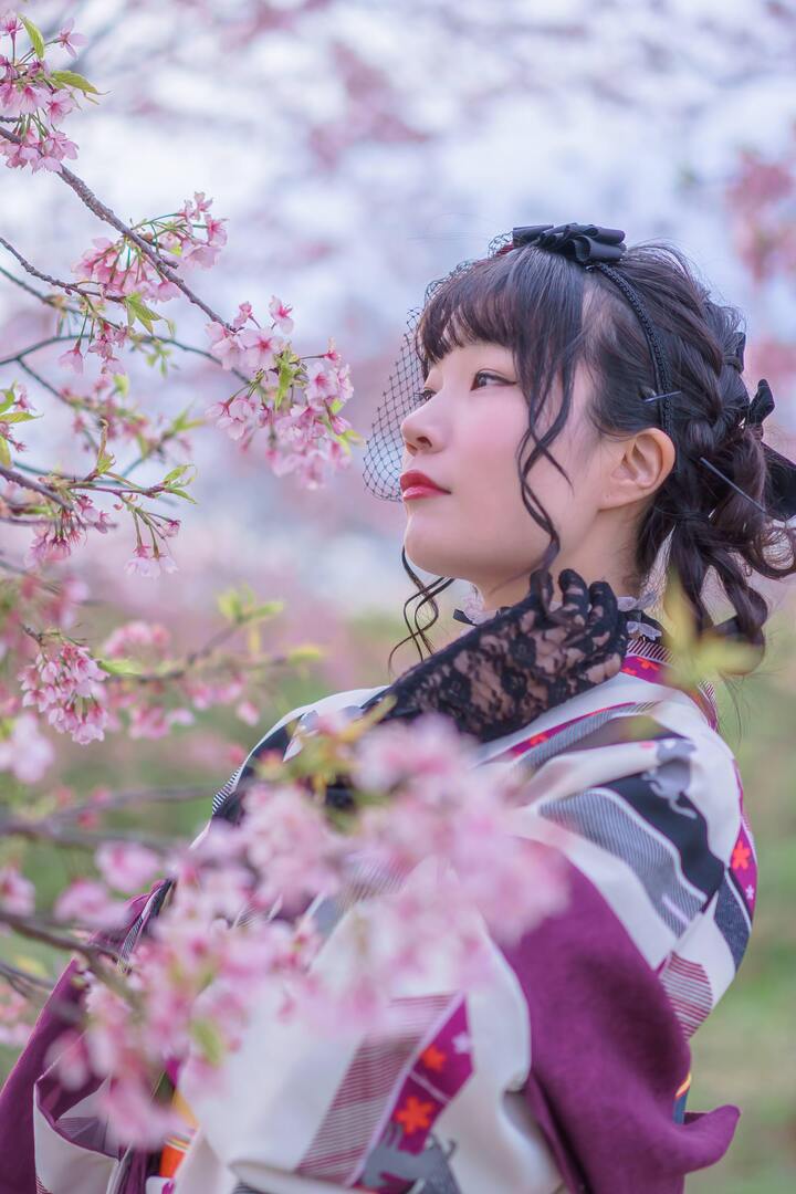 Thumb 721133cd ac5f 4f5b 8ad4 47e8e5ade4b2