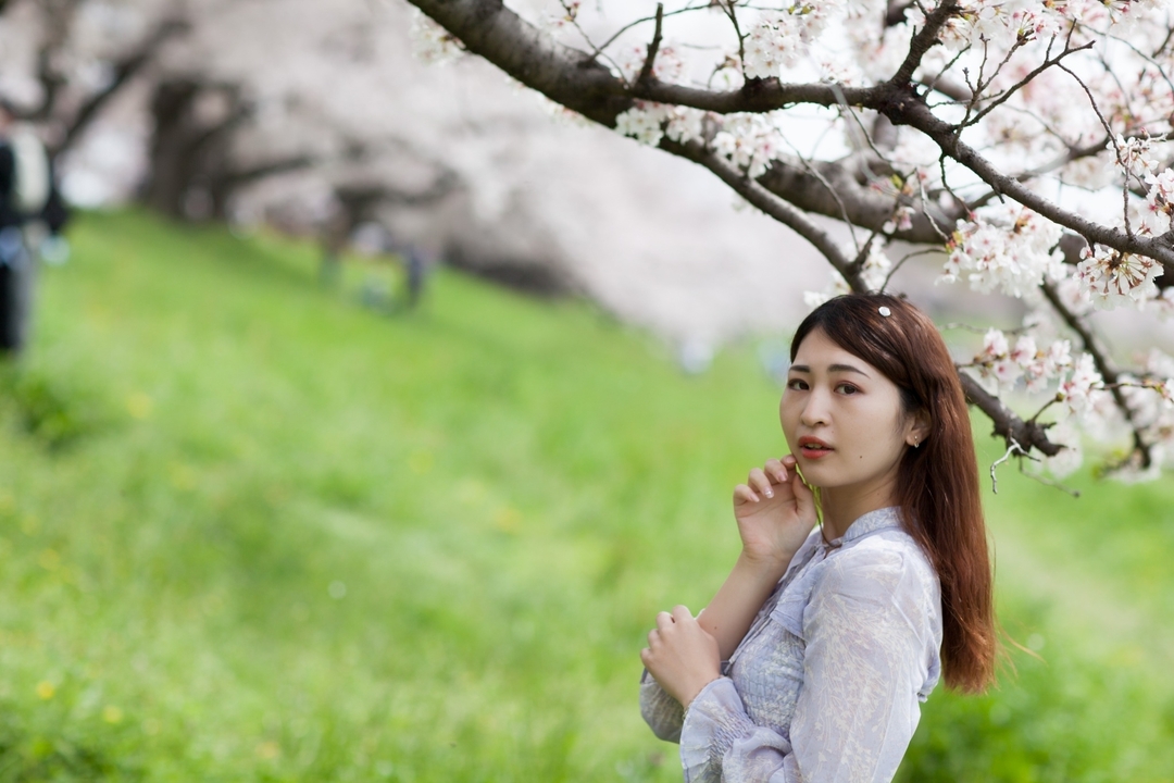 Thumb 335f4bda 5d9d 4bb8 a1b8 b315ef028a40