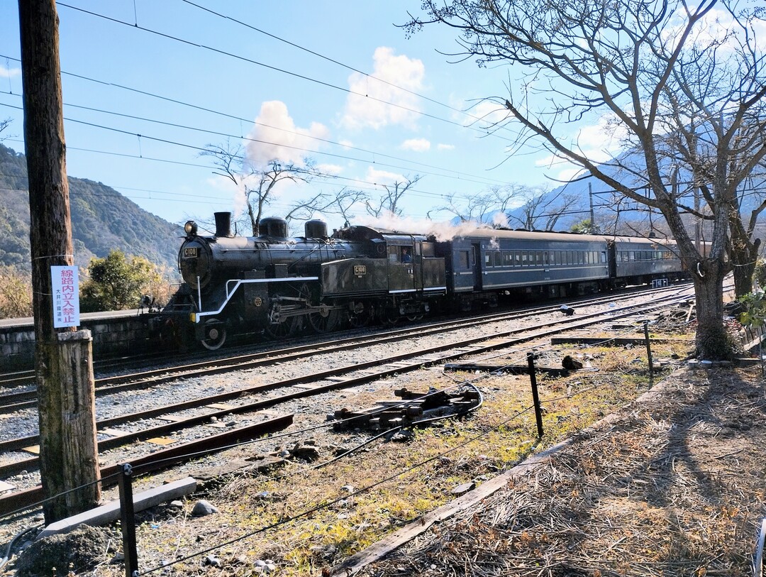 Thumb 85b48dcc 6851 4835 98de 14f4d42cc2ca