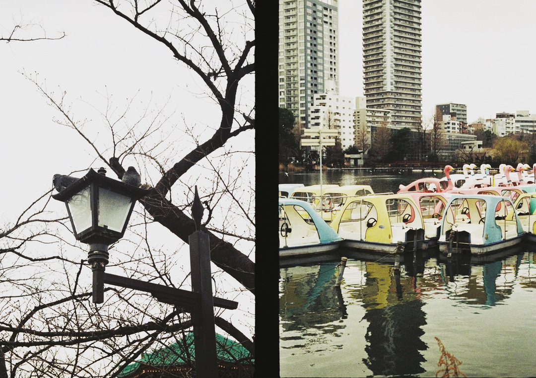 Thumb 14670ca9 4e77 4ab2 8211 307e30e6842a