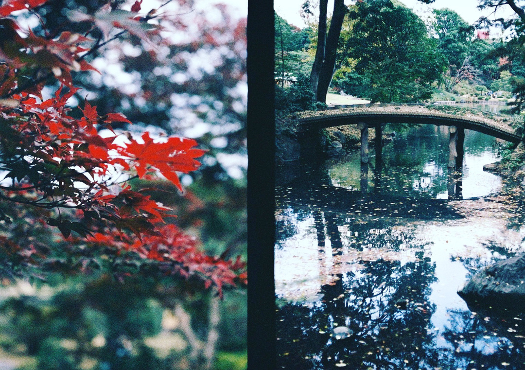 Thumb 3a1f5d55 ed02 4dd7 918c 81dcf7c36c6e