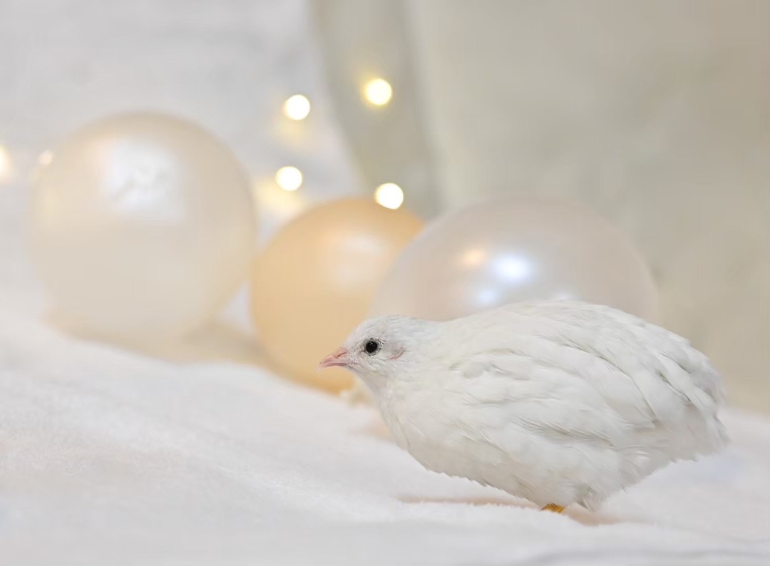 Thumb 997dbc5e fe7d 4efe 9057 1fce0f14fabd