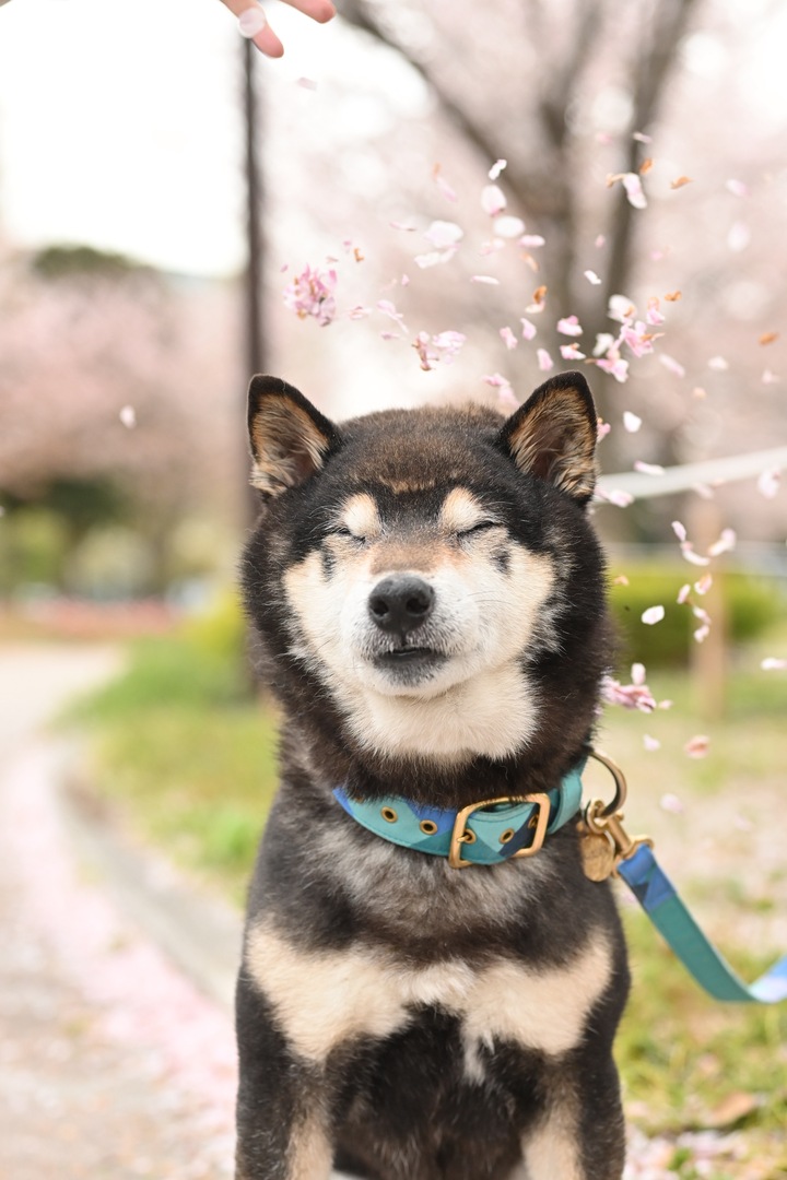 Thumb f8a38994 7c15 4b43 9511 7b0add018b15