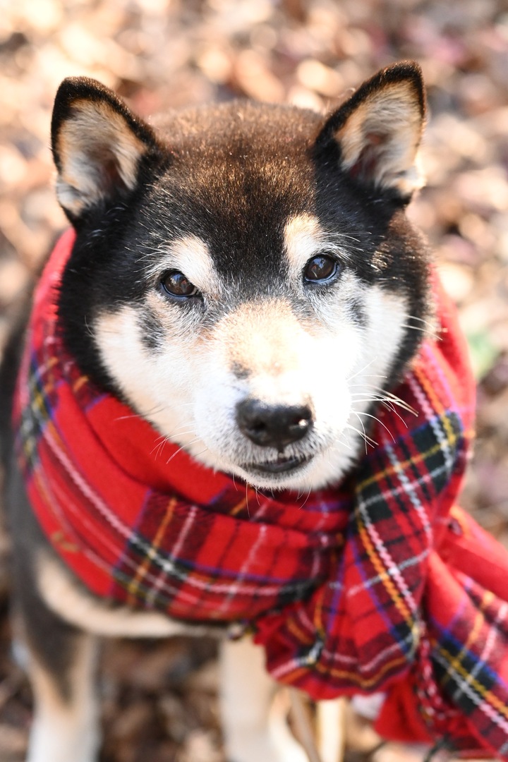 Thumb d2eb5b12 6f7d 459e bc54 dd8e7eded068