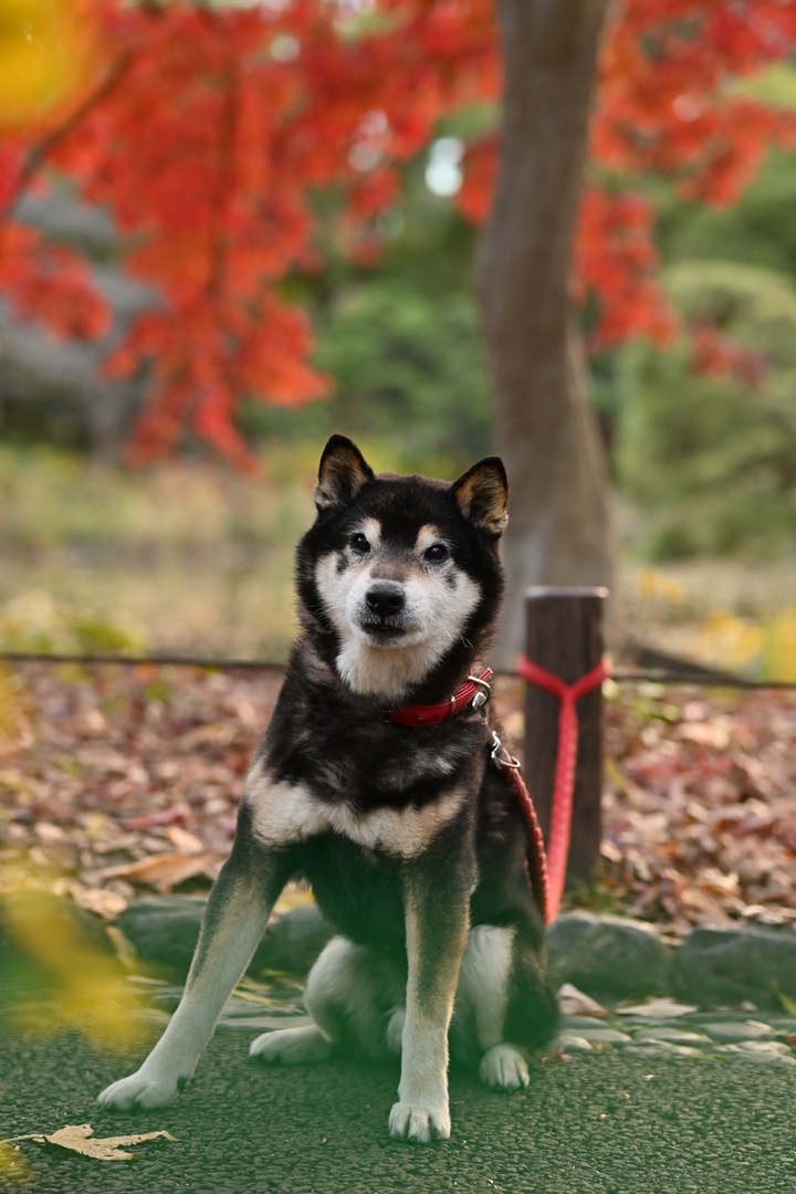 Thumb 3ff2bbd0 ac65 499e 887d 3b3cef7af90f