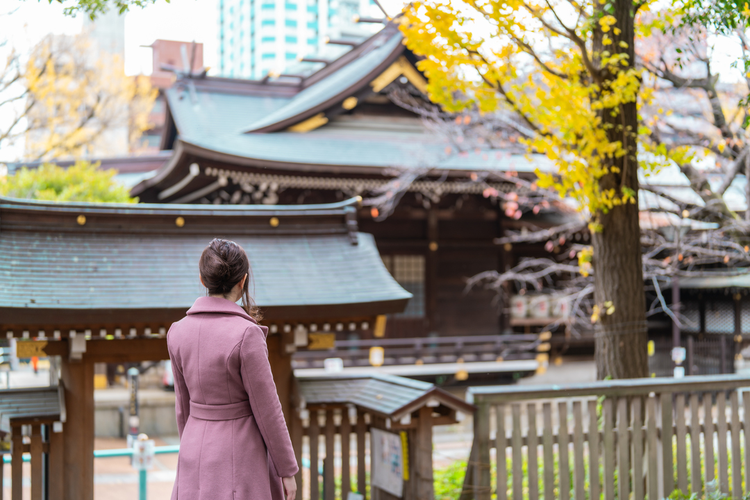 Thumb 790420d8 546e 4e77 8fbf 3a2e5ef1813c