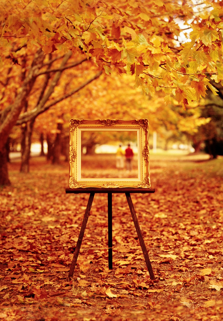 Thumb bab111a5 ada2 4474 8ae4 c86038701fb3