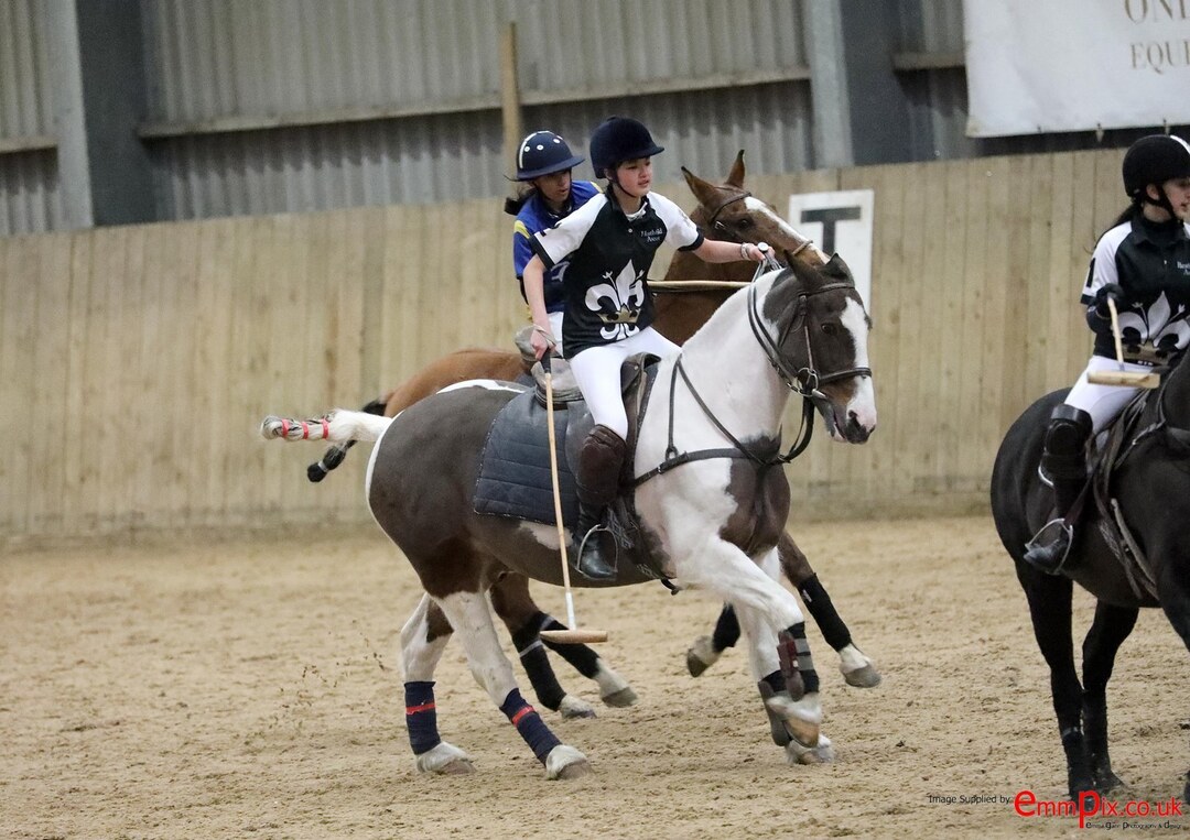 Thumb e0d02437 30dc 4796 992c 3942e817260b