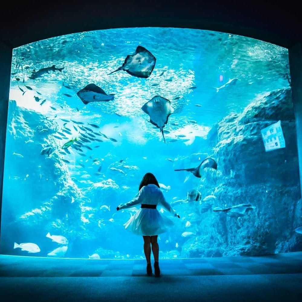 Thumb ff7aaa09 4f4a 45a1 9f19 f163b5afa5b3