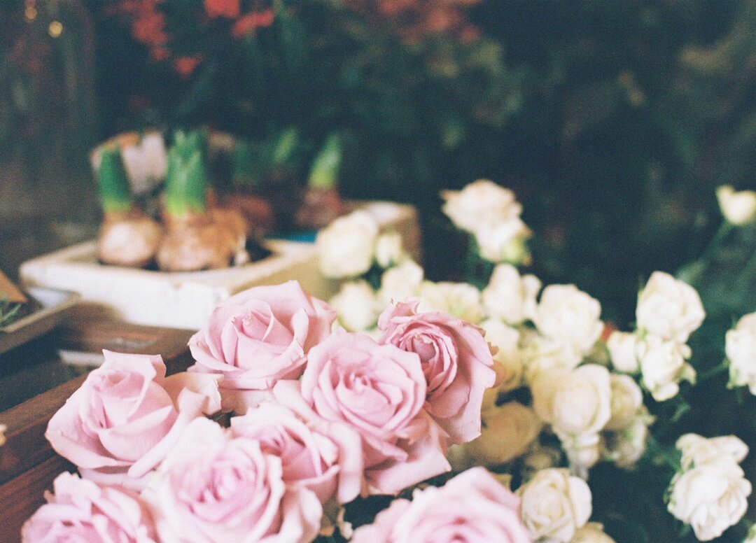 Thumb 617cbe6b 5106 4ee1 947d 35e0d38b9b25