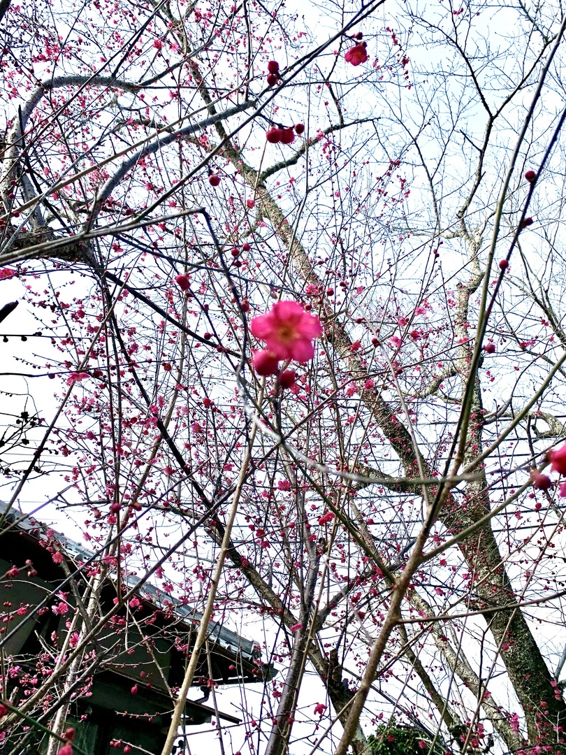 Thumb 0f64f9b7 aea0 4d7a ad15 54440d5f91e9