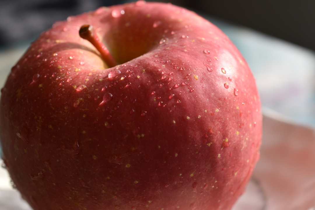 Thumb 8fa698a0 82de 48a5 95c9 df2dc1476271