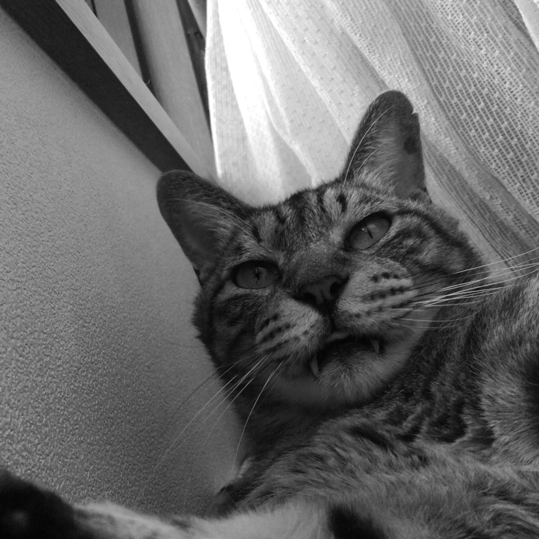 Thumb ca6411e3 b29f 4581 89af 74a10231be6f