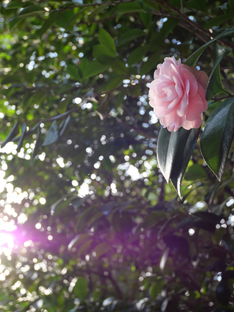 Thumb d4b49185 dfe0 4e26 a34b ed010f7c9424