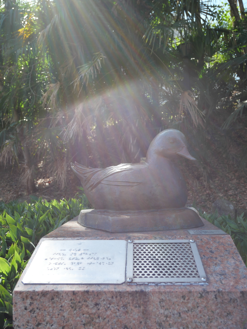 Thumb 64c00830 596f 4ed0 8f91 6d5e3cc0ba01