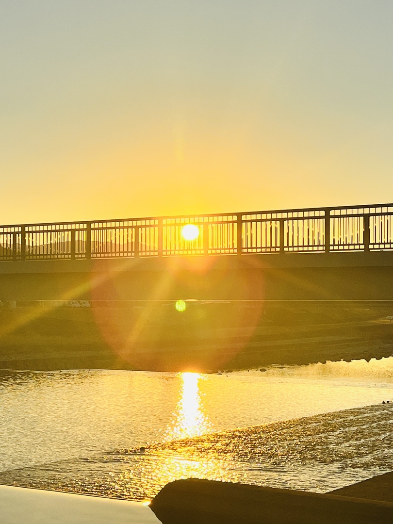 Thumb 83923ad0 d199 4bcb 95bf dda6a53e6372