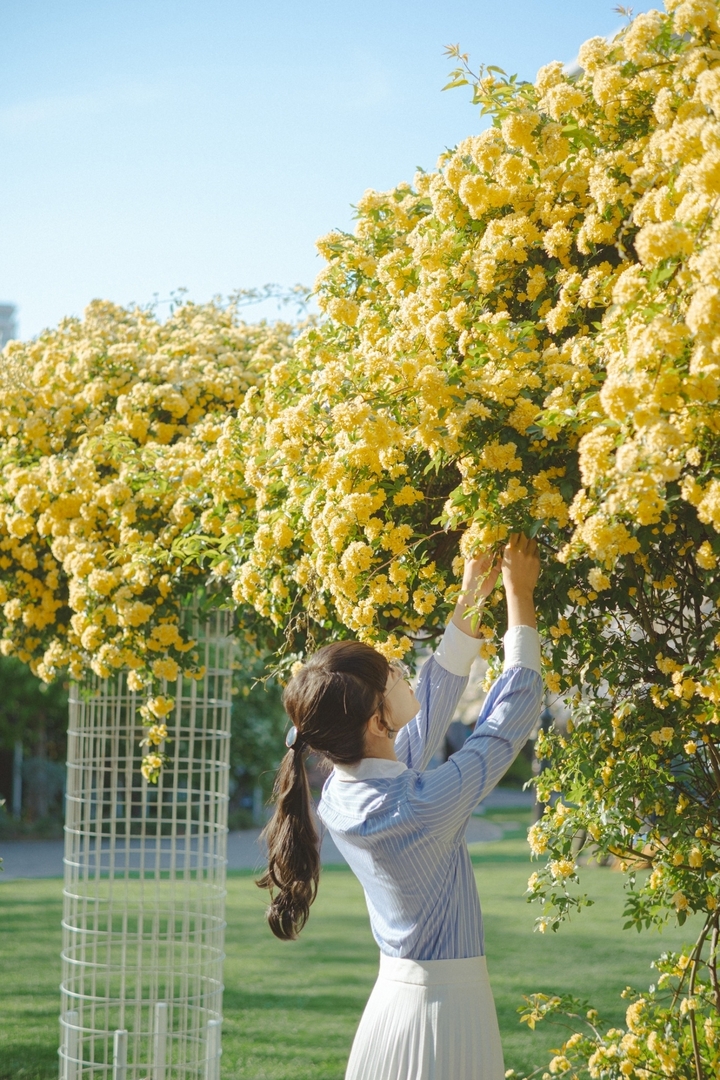 Thumb 3705379a 6603 43b2 8afd 0160fa46f6bb