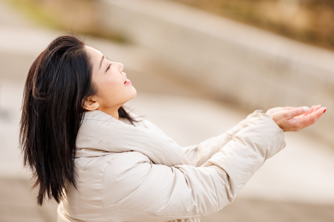 Thumb 5b8cc6af 91e0 4a72 b6e9 dc4f99ba882d