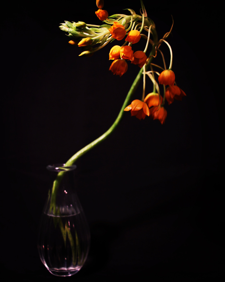 Thumb 3526ed0d 8d44 46ee b1d3 d3123d2d76eb