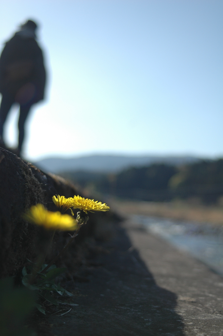 Thumb 9ad8b3e8 ddb6 4a54 a6b2 345926cbaaa5