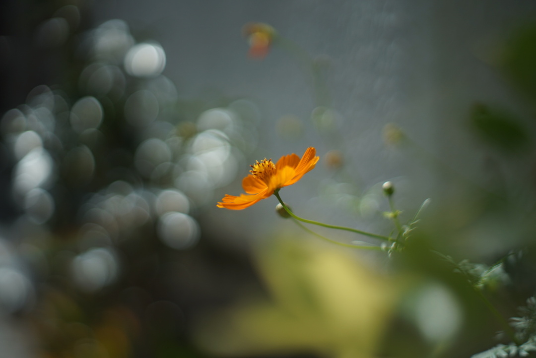 Thumb 54f720a6 3dc5 460c 8744 04cc16218525