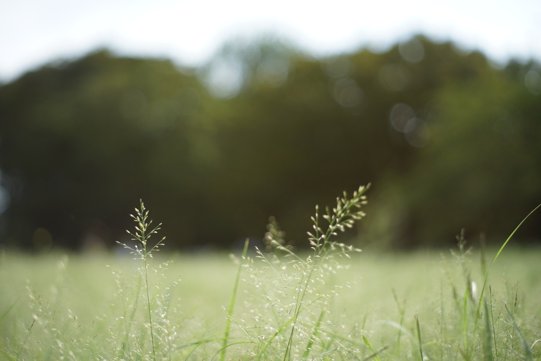 Thumb 1ac12f29 4b06 482f b572 63d06cc54586