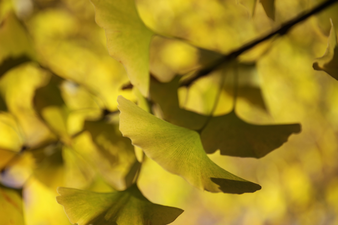 Thumb ec1627d4 78d6 421e 90be b4f4df46dea8