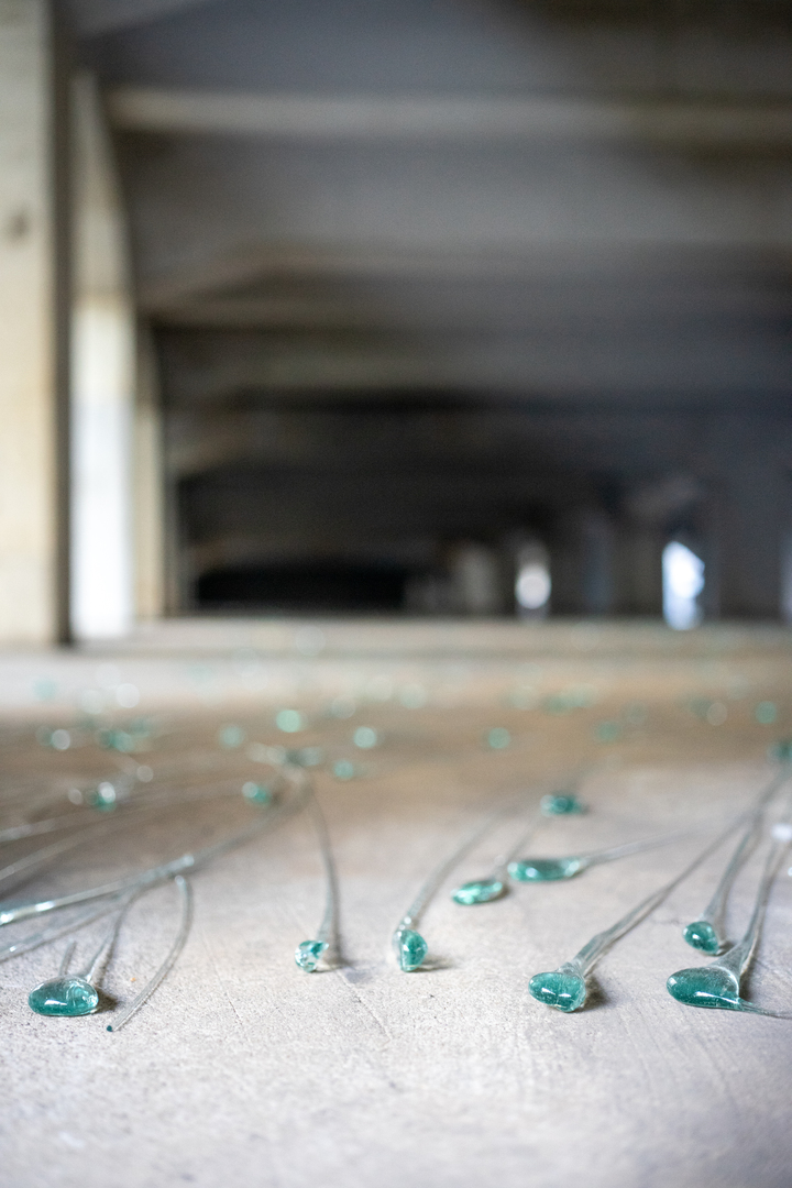 Thumb fb04f258 3aed 45c0 a154 ee3cad457f14