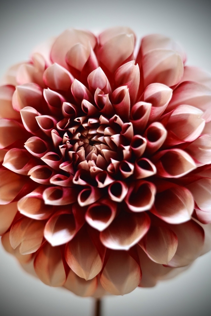 Thumb 15663f23 b0ae 441f 9c4a 1663455854a4