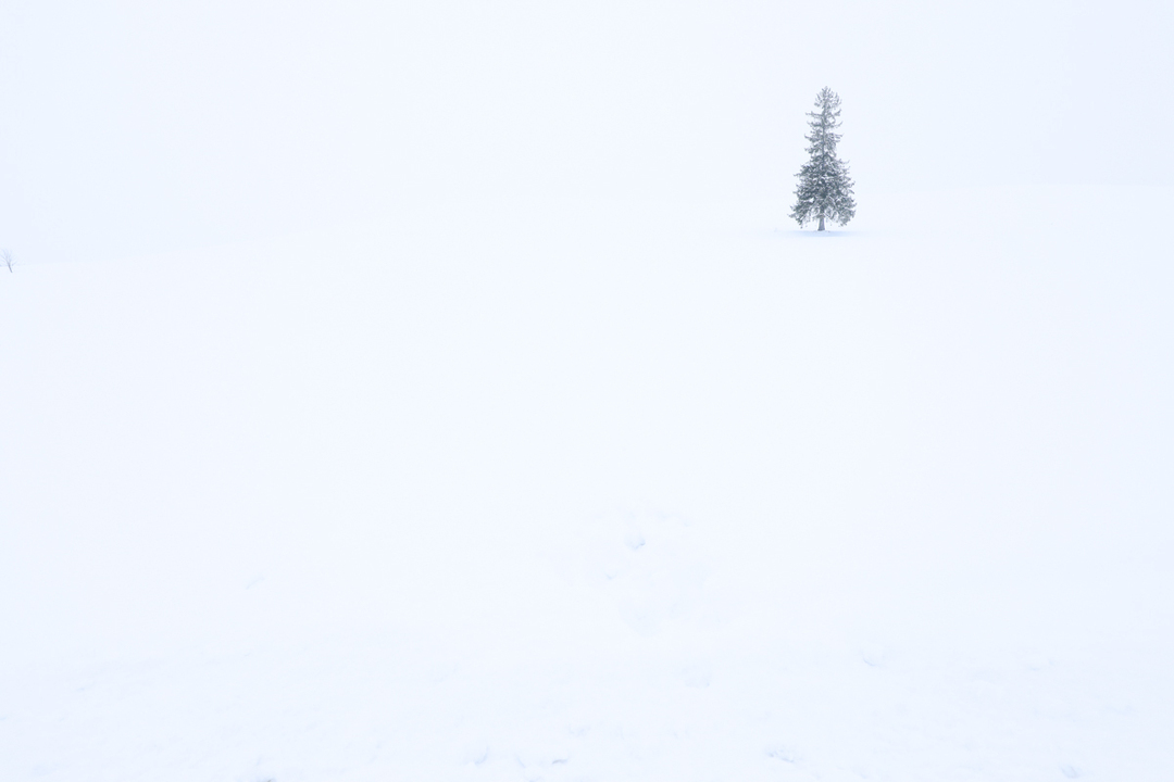 Thumb 0a0f7815 b934 4b76 914e 0ec77b6b6d6d