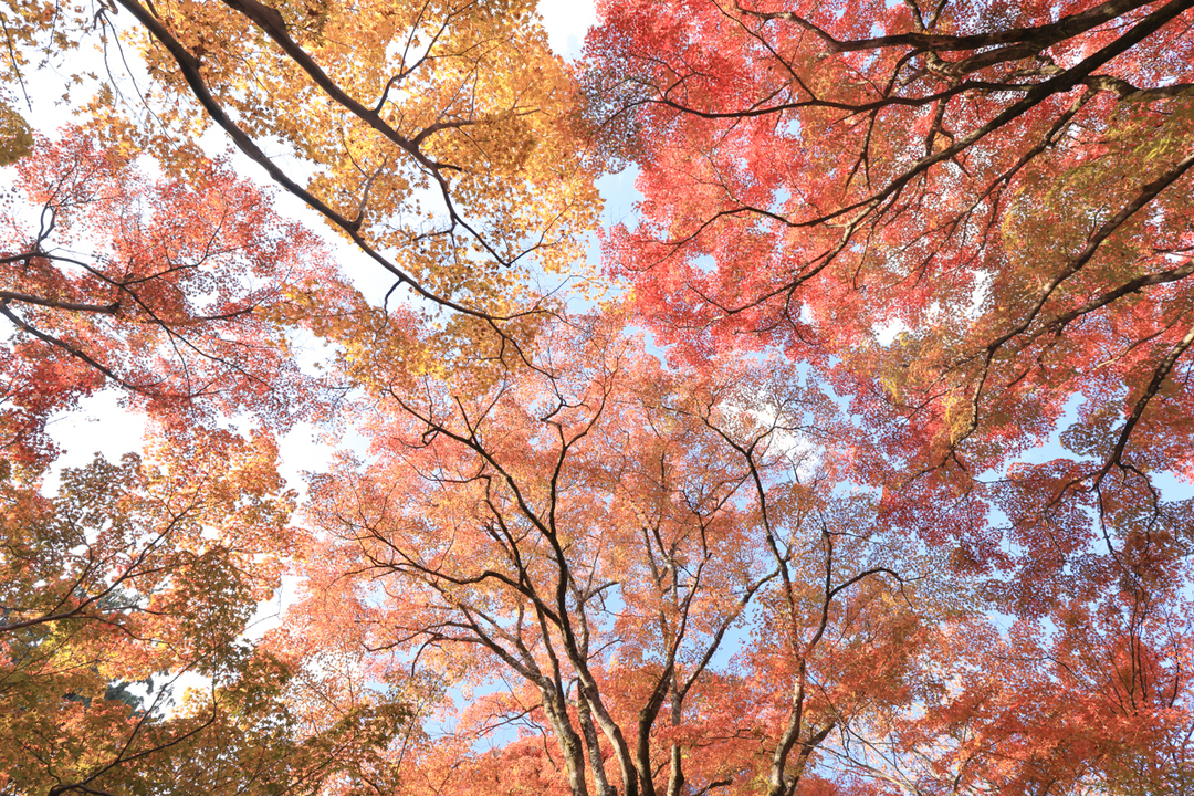 Thumb 3d79bf67 fb44 4e93 ad4f cbc67dd2bbc9