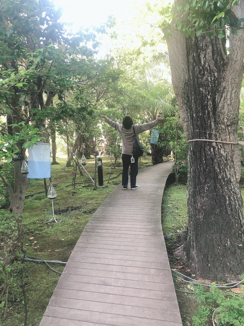 Thumb b8f33a66 4b18 4508 8a4f baa2e4267e98