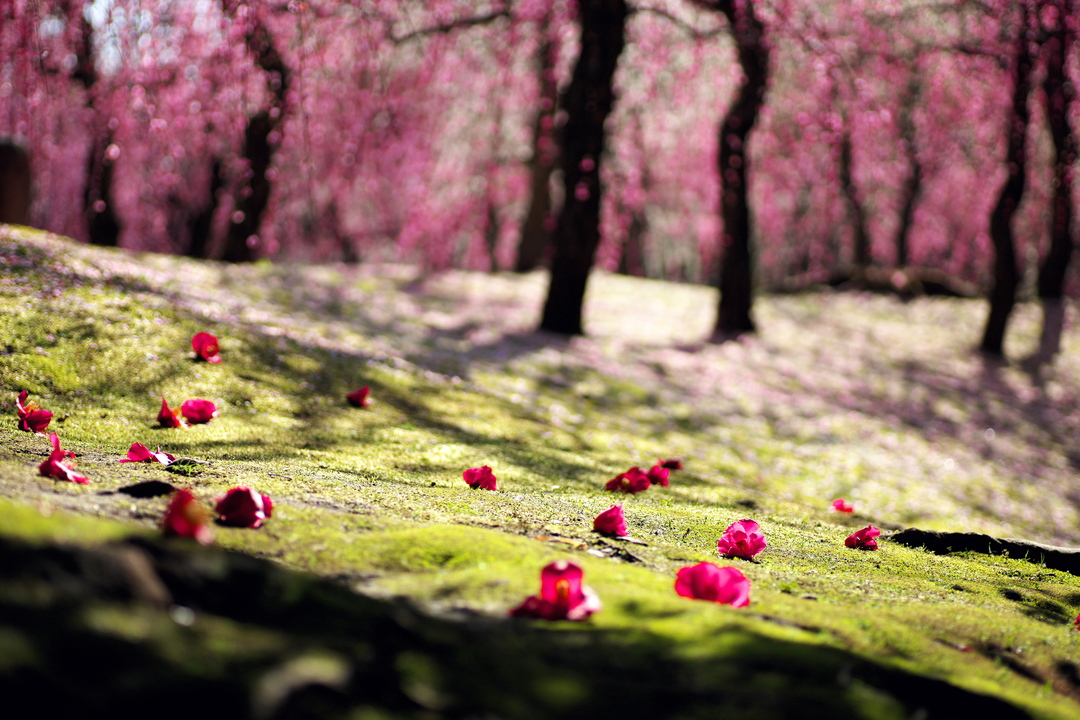 Thumb f337789f 8286 42f0 b3d3 97394025a339